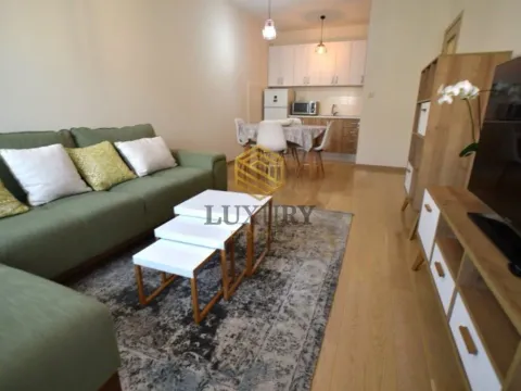 Izdavanje, jednosoban stan, 46m², City Kvart, Podgorica - image 12