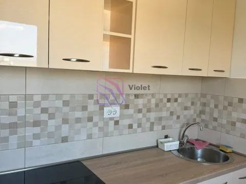 Rent, apartment, 29m², Zabjelo, Podgorica - image 11