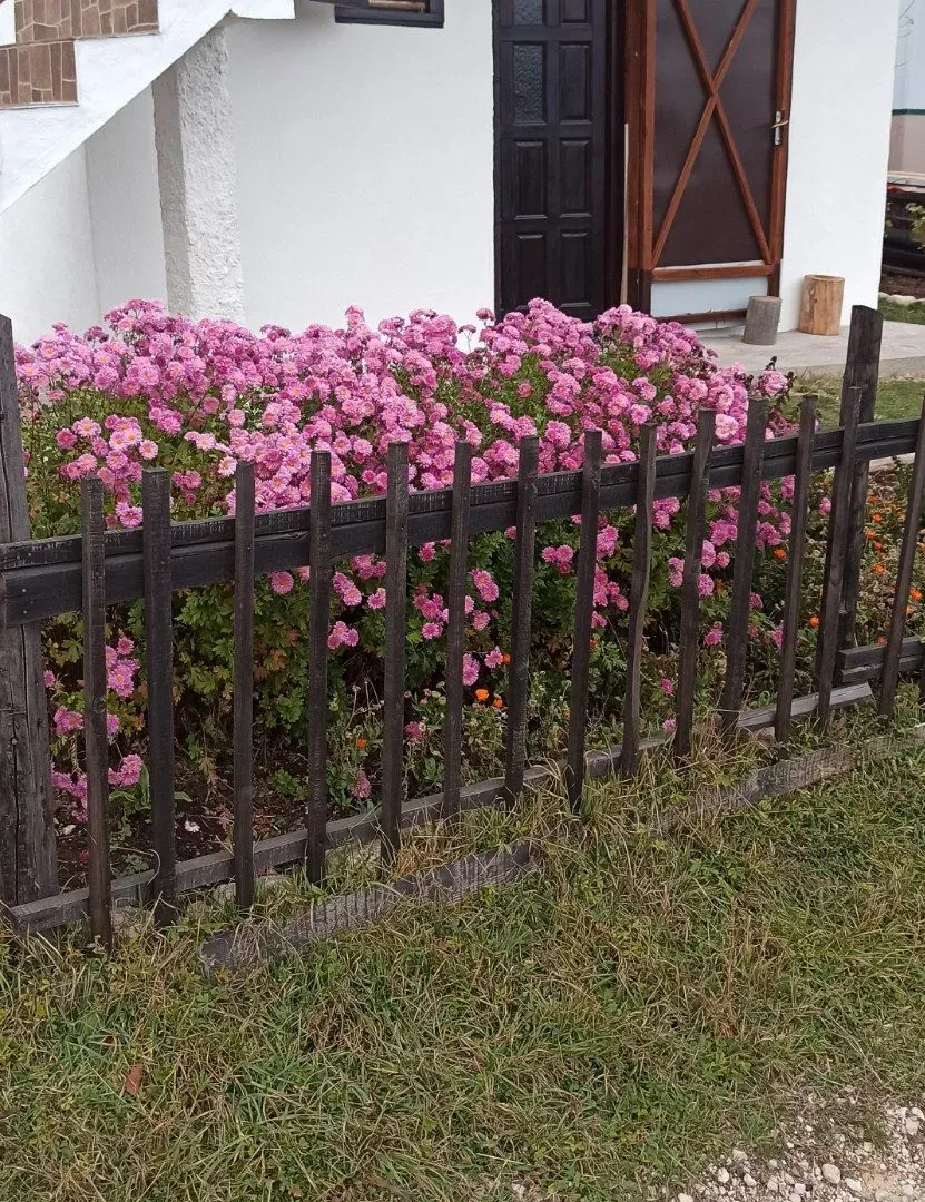 Prodaja, kuća, 48m², Žabljak, Crna Gora