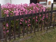 Sale, house, 48m², Žabljak, Crna Gora - image 2