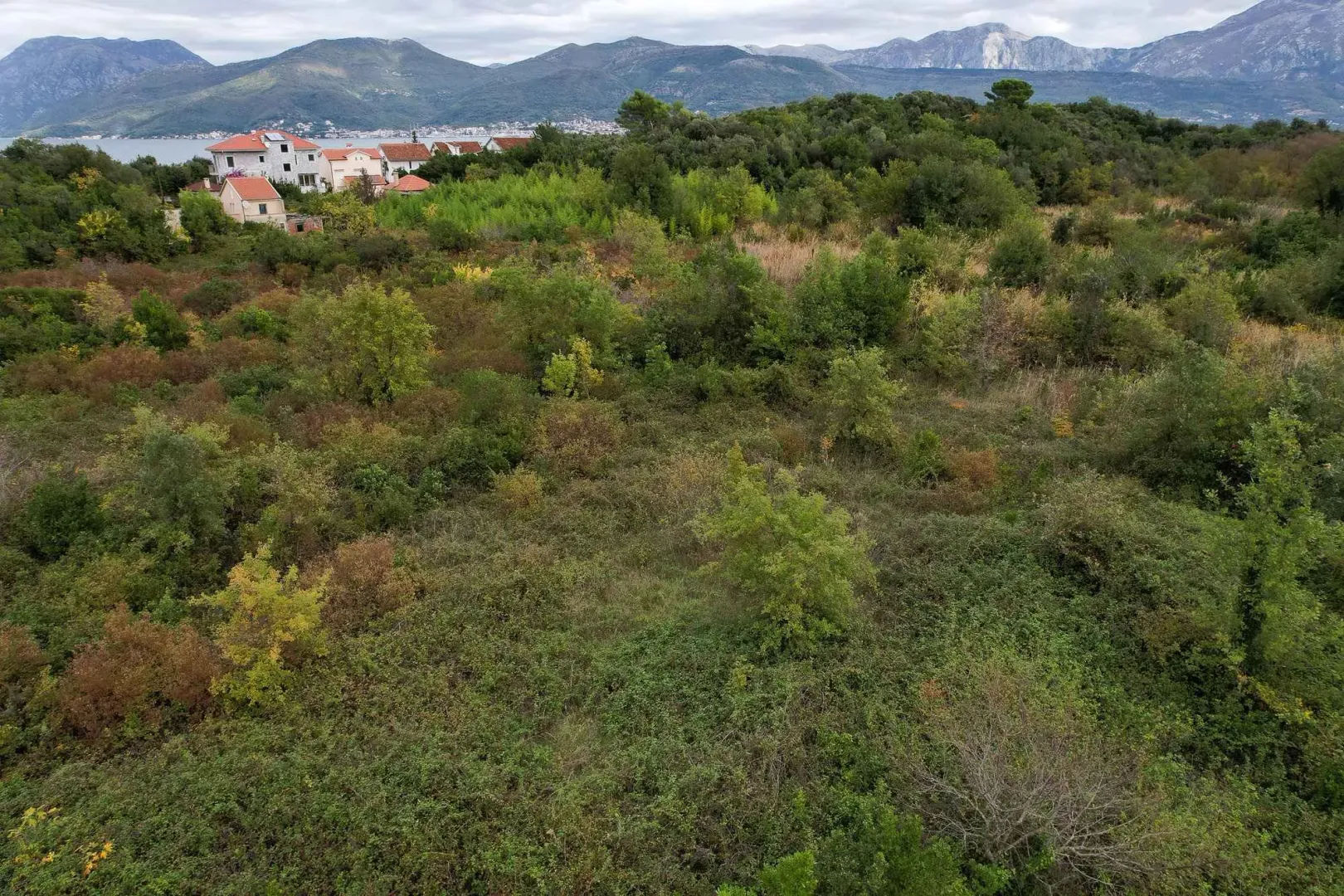 Zeleni građevinski plac okružen prirodom sa pogledom na planine i more u daljini.