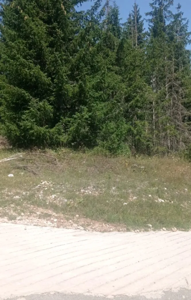 Prodaja, plac, 1410m², Razvršje, Žabljak