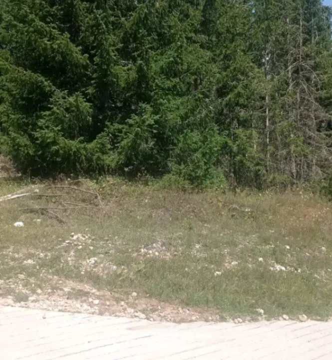 Prodaja, plac, 1410m², Razvršje, Žabljak