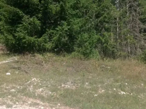 Sale, land lot, 1410m², Razvršje, Žabljak