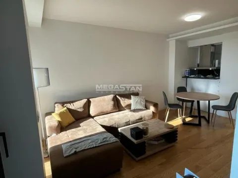 Izdavanje, dvosoban stan, 45m², Novi Beograd Sve Podlokacije, Beograd - image 5