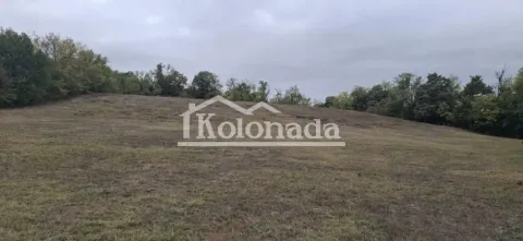 Pogled na prostrano zemljište sa travnatom površinom i šumom u pozadini. - image 11