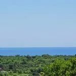 Sale, land lot, 7348m², Kovači, Kotor - image 5