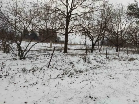 Prodaja, kuća, 150m², Niš, Srbija - image 14