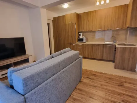 Izdavanje, jednosoban stan, 47m², Velji Vinogradi, Budva - image 3