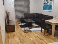 Izdavanje, jednosoban stan, 54m², Ljubović, Podgorica