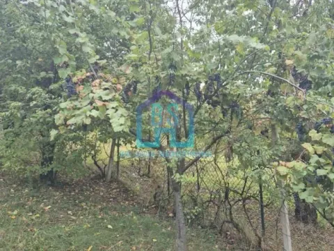 Prodaja, plac, 1200m², Alibegovac, Petrovaradin - image 5