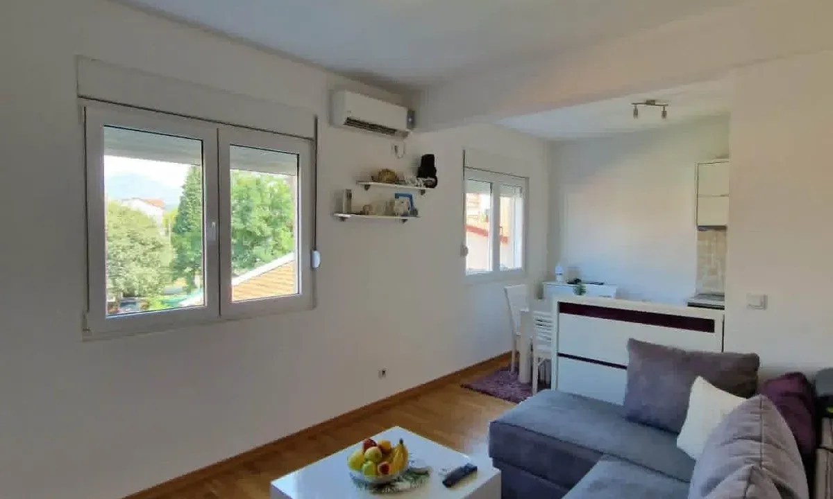 Rent, one bedroom apartment, 45m², Stari Aerodrom, Podgorica