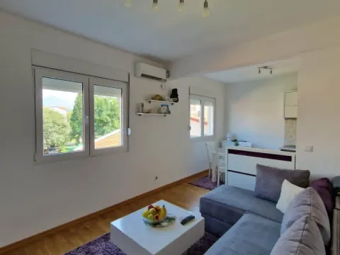 Rent, one bedroom apartment, 45m², Stari Aerodrom, Podgorica - image 1