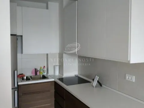 Izdavanje, dvosoban stan, 54m², Palilula Sve Podlokacije, Beograd - image 3