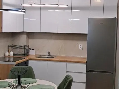 Izdavanje, dvosoban stan, 45m², Pantelej, Niš - image 5