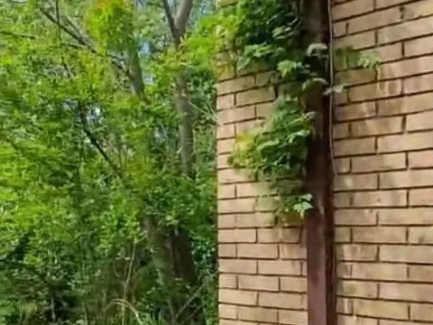 Izdavanje, plac, 2401m², Podgorica, Crna Gora - image 9