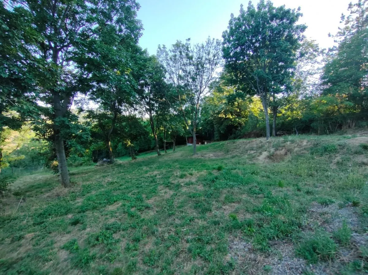 Prodaja, plac, 1900m², Sremska Kamenica, Petrovaradin