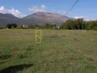 Prodaja, plac, 3000m², Grlić, Danilovgrad - image 2