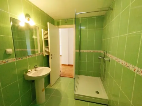 Kupatilo obloženo zelenim pločicama sa tuš kabinom i umivaonikom. - image 12