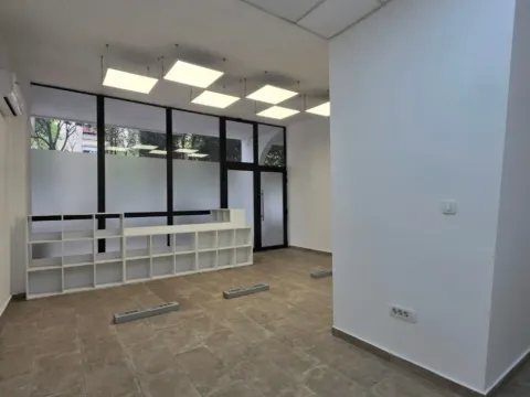 Izdavanje, poslovni prostor, 294m², Blok 5, Podgorica - image 9
