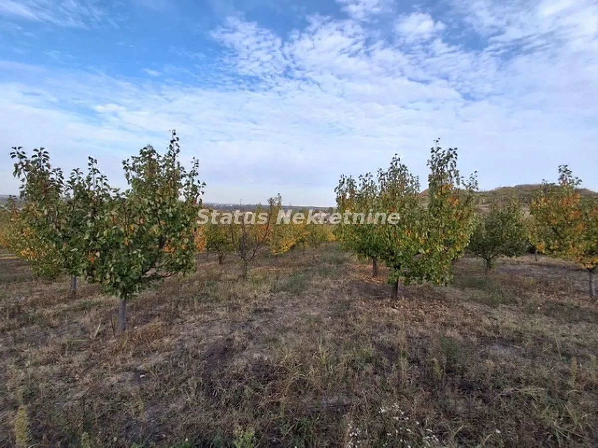 Prodaja, plac, 7500m², Beočin, Srbija