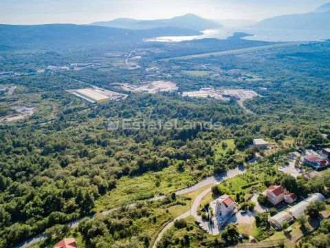 Prodaja, plac, 5652m², Dub, Kotor - image 3