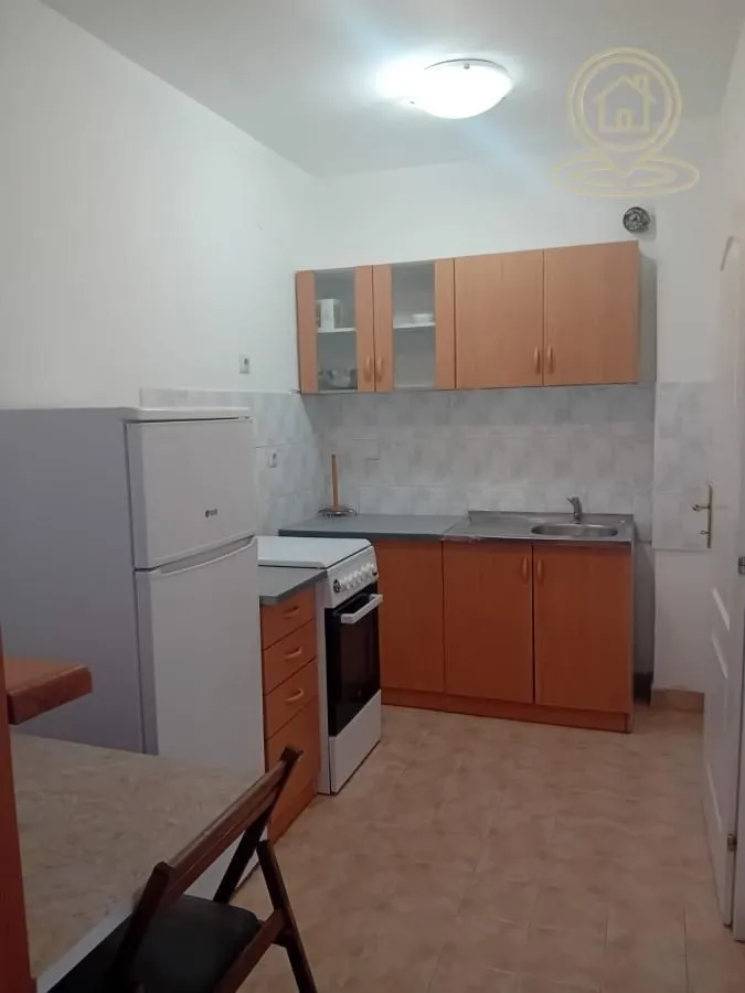 Izdavanje, dvosoban stan, 55m², Centar, Novi Sad