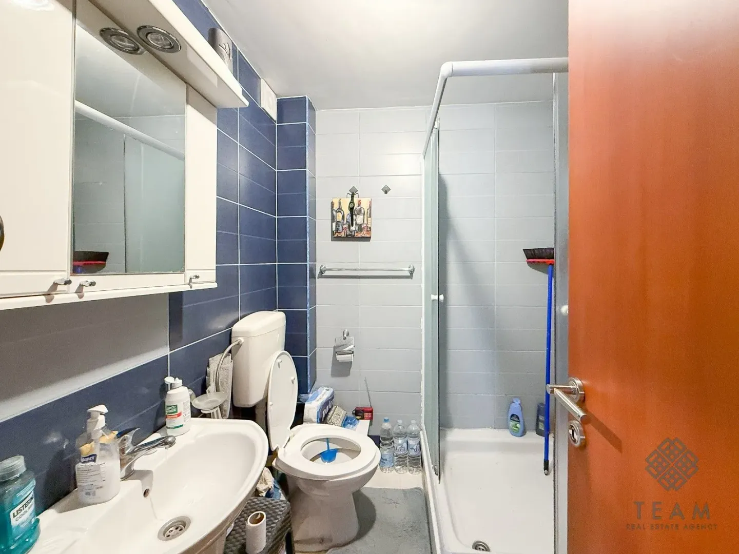 Manje kupatilo sa tuš kabinom, umivaonikom i WC šoljom.