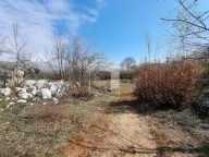 Sale, land lot, 13500m², Bandići, Danilovgrad - image 3