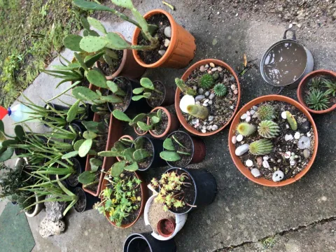 Sale, house, 260m², Sutomore, Bar - image 12