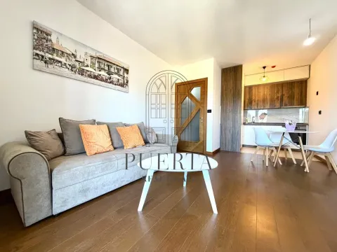 Izdavanje, jednosoban stan, 49m², Ljubović, Podgorica - image 2
