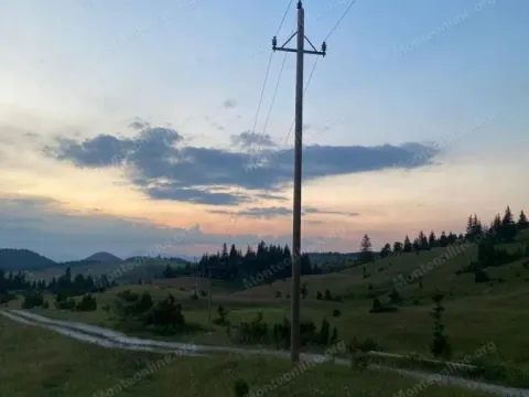 Prodaja, plac, 15531m², Krš, Žabljak - image 8