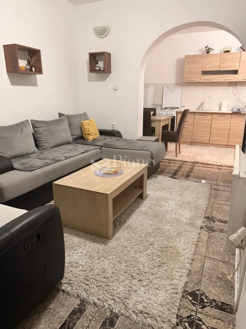 Living room with a sofa and a view of the kitchen in the background.