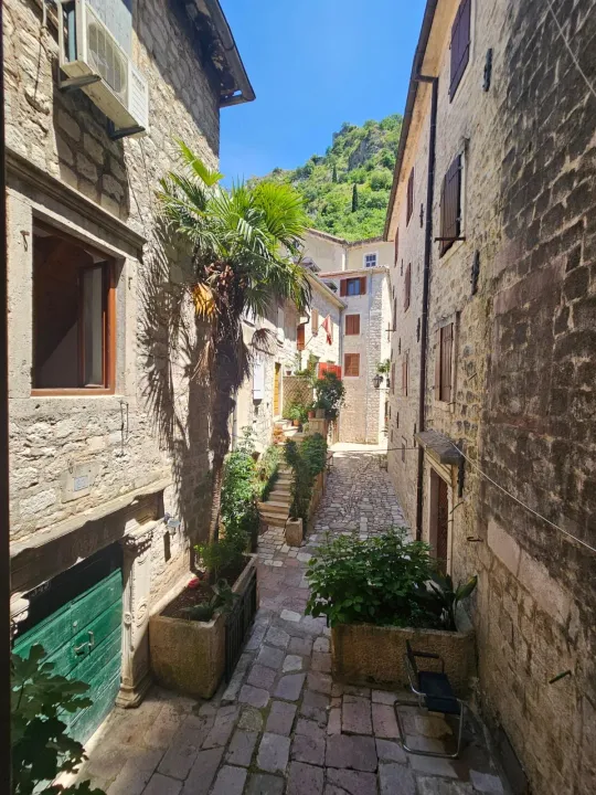 Prodaja, garsonjera, 15m², Kotor, Crna Gora
