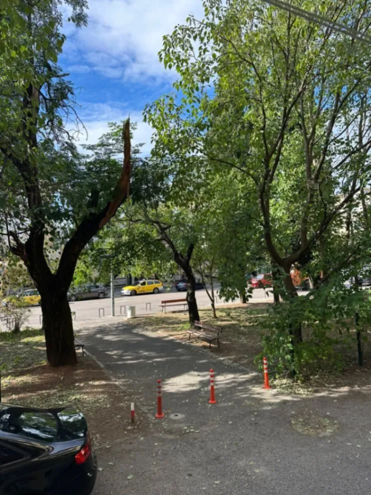 Izdavanje, garsonjera, 24m², Preko Morače, Podgorica