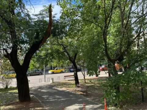 Izdavanje, garsonjera, 24m², Preko Morače, Podgorica - image 2