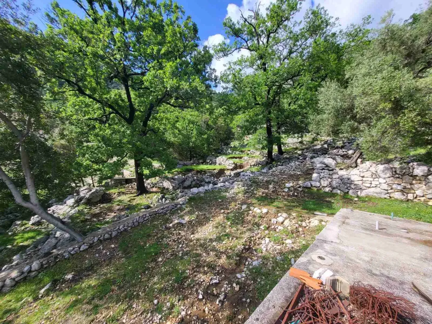 Pogled na dvorište i okolno zelenilo sa drvećem.