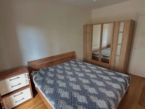 Izdavanje, jednosoban stan, 50m², Central Point, Podgorica - image 9