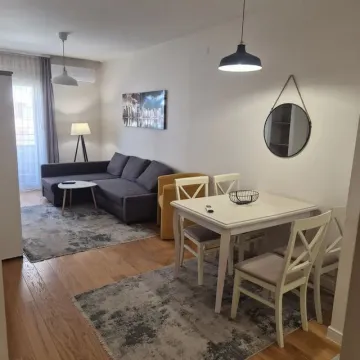Rent, one bedroom apartment, 43m², Central Point, Podgorica - image 9