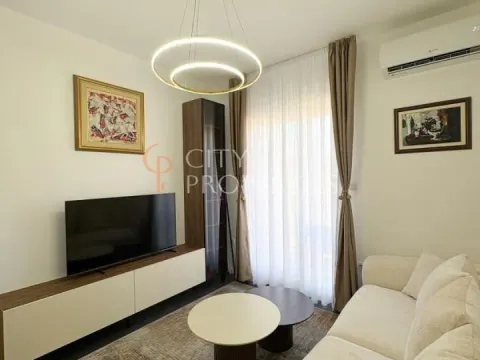 Rent, apartment, 39m², Zabjelo, Podgorica - image 3