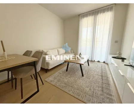 Izdavanje, dvosoban stan, 46m², Novi Beograd Blok 65, Novi Beograd Sve Podlokacije - image 4