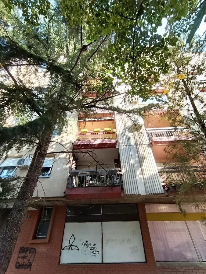 Pogled na fasadu zgrade sa balkonima kroz drveće.