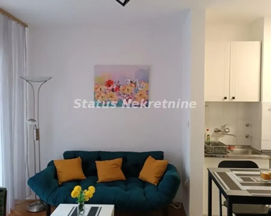 Izdavanje, jednosoban stan, 35m², Nova Detelinara, Novi Sad Sve Podlokacije