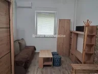 Izdavanje, garsonjera, 23m², Petrovaradin, Novi Sad