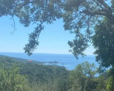 Prodaja, plac, 1200m², Herceg Novi, Crna Gora - image 5