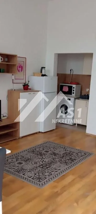 Izdavanje, stan, 25m², Centar, Novi Sad