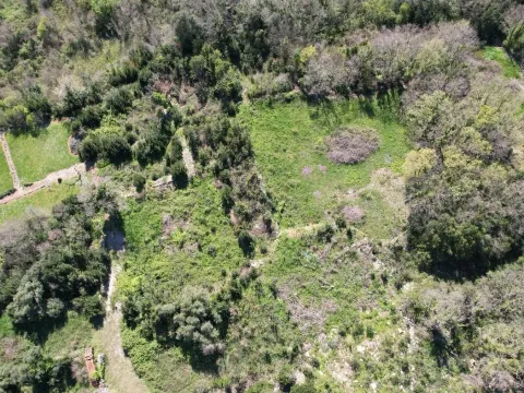 Prodaja, plac, 985m², Krimovica, Kotor - image 6