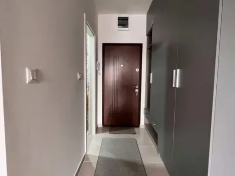 Izdavanje, garsonjera, 32m², Ljubović, Podgorica - image 4