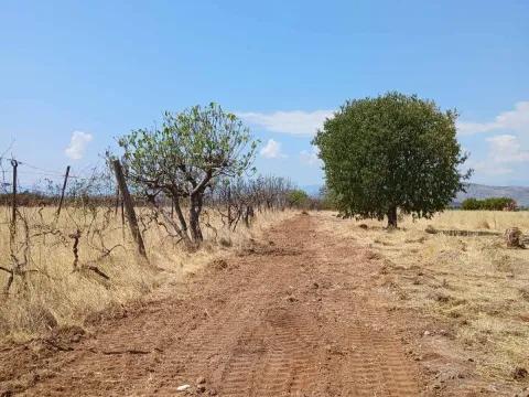 Prodaja, plac, 1562m², Kuće Rakića, Podgorica - image 10