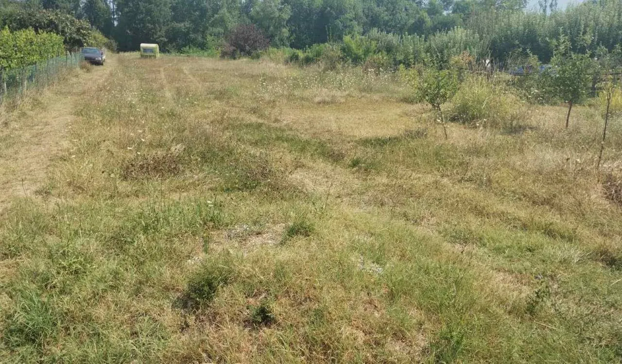 Prodaja, plac, 2000m², Danilovgrad, Crna Gora